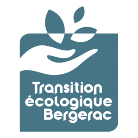 transition_logo_V